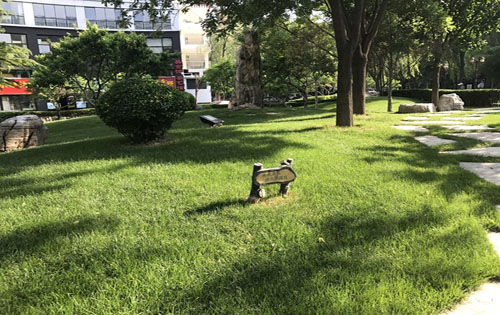 青政大厦周内景